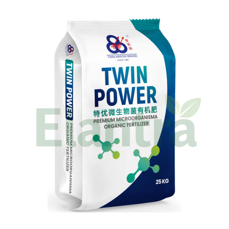 TWIN POWER